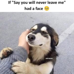 aaaah