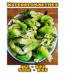 waterblomme